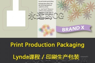 Lynda教程/印刷制作系列之三_包装/印刷制作教程/中文字幕