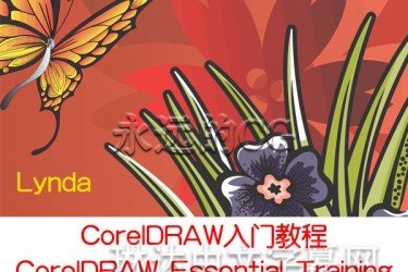 Lynda教程/CorelDRAW X8入门教程/Essential Training/中文字幕