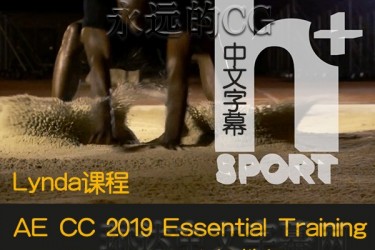 AE CC 2019/AE入门教程/Essential Training/中文字幕