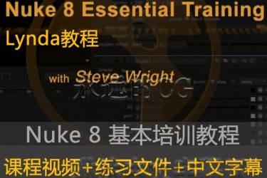 lynda教程/Nuke 基础教程/Essential Training(2014)/中文字幕