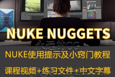 lynda教程/NUKE NUGGETS/nuke使用技巧中级教程/全干货/中文字幕