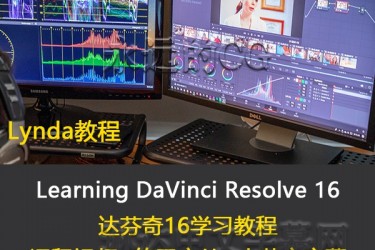 Learning DaVinci Resolve 16/达芬奇16/lynda教程/中英文字幕