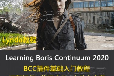 Learning Boris Continuum 2020/BBC插件2020基础入门教程/中英文字幕/Lynda教程